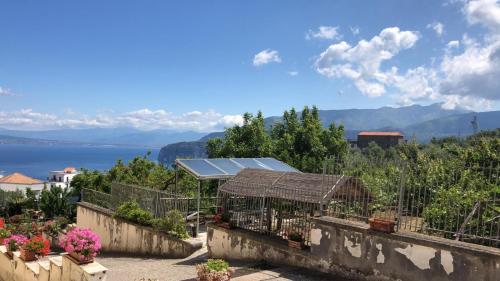 Oasi Madre della Pace - image 6