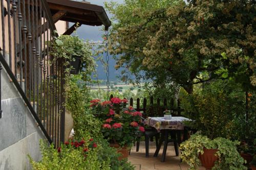 Agriturismo L'Ulivo in Fiore - image 11