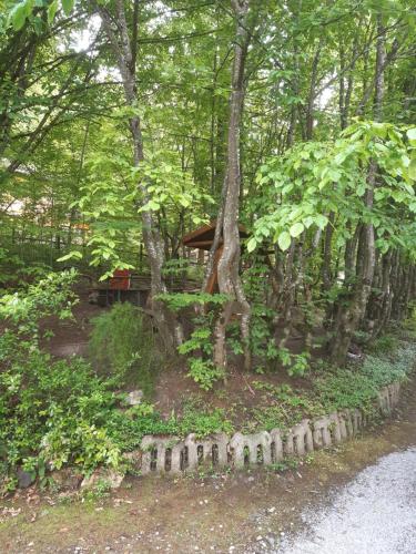 VILA SZOKE SOVATA – Sovata, MN