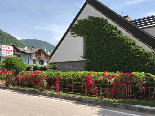 Hotel Europa Cembra in Cembra