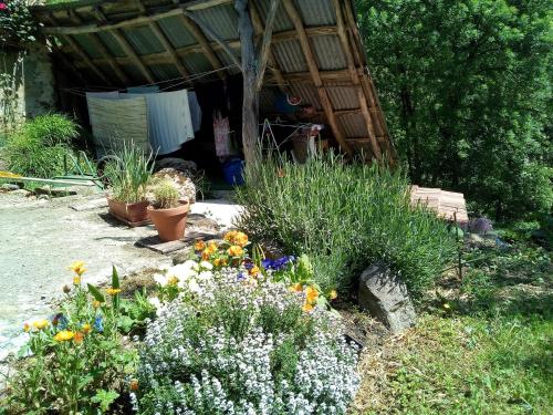 la maison du bonheur chez Yann HUMBLET