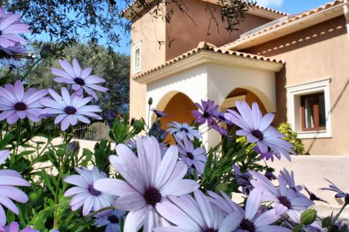 Traditional Villa Mandola - Location, gîte - Céphalonie