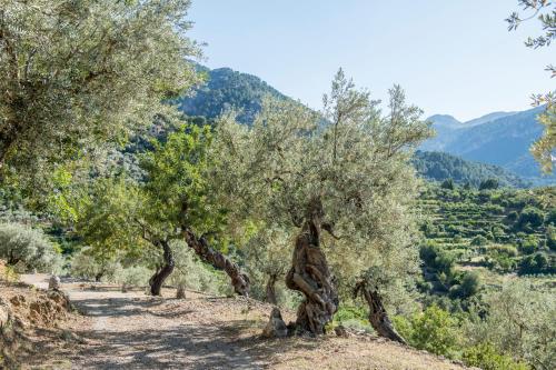 Raco de Soller