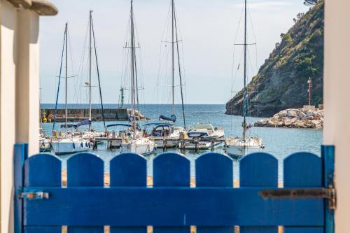  La finestra sul mare by Tizzano House in Procida