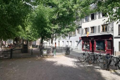 R-Appartements La Petite Strasbourgeoise Hygge