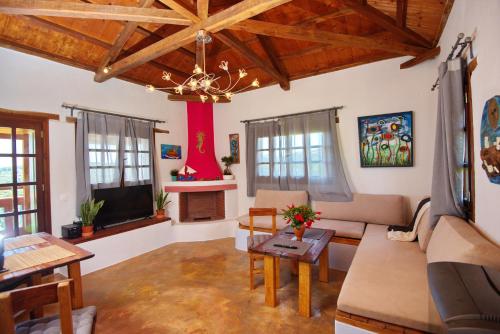Angel Sunset suite in 기타