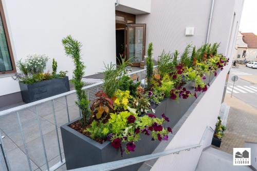 Resort Lednice - Eisgrub - image 6