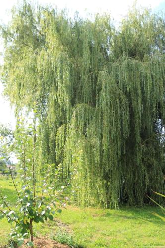  La Ventanita Del Campo in La Cavada