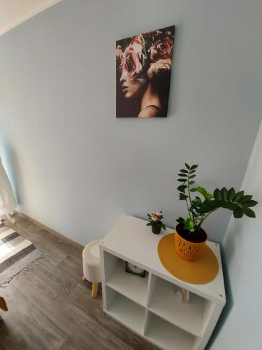 Apartament Wągrowiec, Gabi - Remigiusz Kiszka