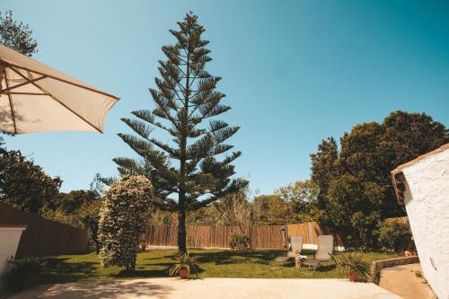Garden, Villa Lucia in Alghero