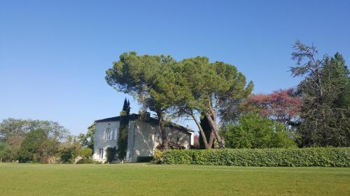 Chambres D'Hôtes Domaine De La Brette BnB Moncrabeau