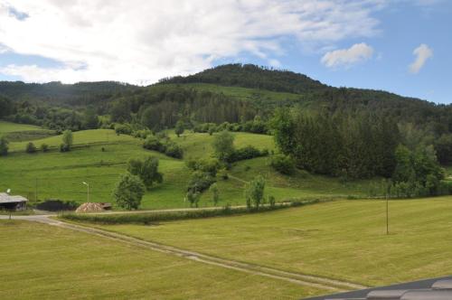 Mostheuriger Steyrdurchbruchalm