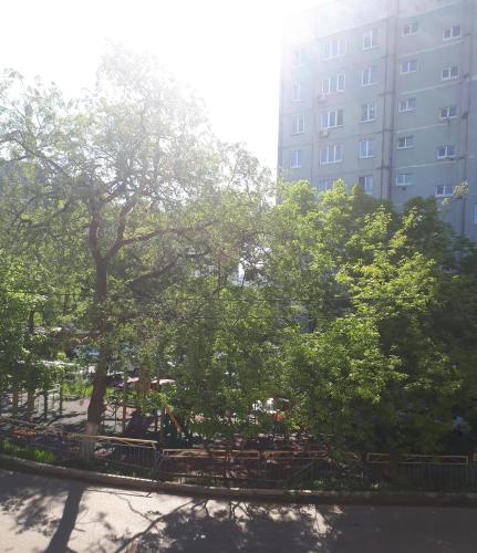 Apartment 7 on Pikhtovaya 12а - image 7