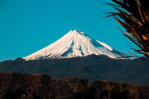 Chalets at Okurukuru, New Plymouth (photo 9)
