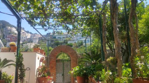  Villa dei fiori B&B in Capri