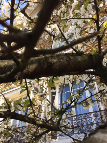 Kilátás, SUITE AVEC TERRASSE ET JARDIN AUX PORTES DE PARIS in Les Pavillons-sous-Bois