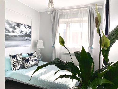 DREAM Boutique Apartment 42m2 in the heart of Cracow Old Town, Cracovie (photo 7)