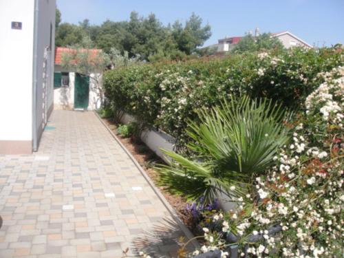 Apartments Srdarev Pencov