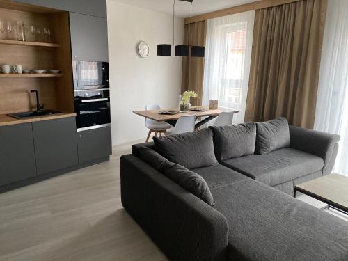 Apartmán Champion - Apartment - Plzeň