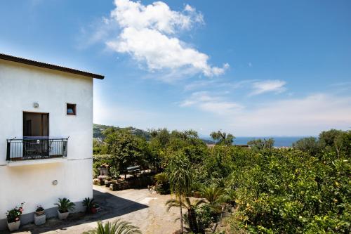 YourHome - San Valerio Home 3