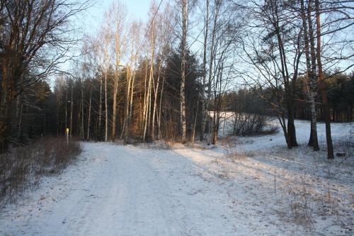 Arkadia Hotel & Hostel & Ravintola - image 4