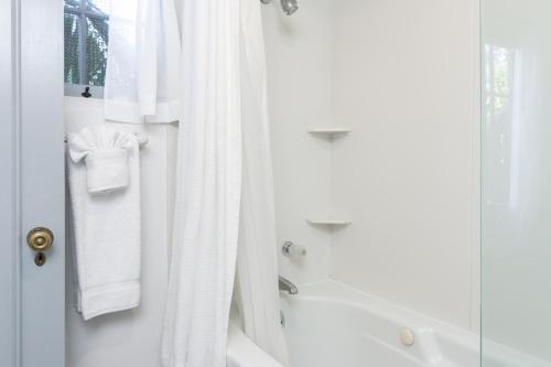 Charming Studio - 1 Block to Gorgeous East Beach! Hotel Room - image 7