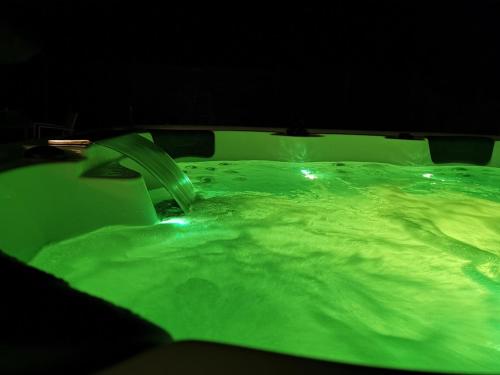 Le pavillon de l'herboriste 14p jacuzzi jardin in Tintigny