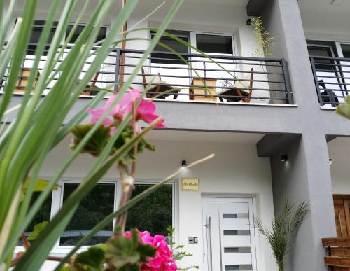 Villa Manteo, Ohrid