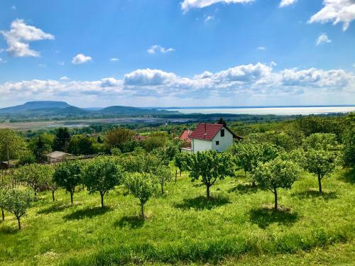 Öreghegyi Panoráma Villa, Balatonederics