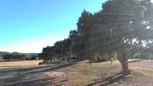 B&B Andrieddu - image 2