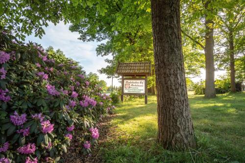 Rhododendronhof - image 9