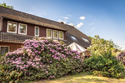 Rhododendronhof - main image