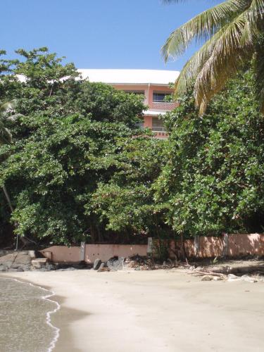 Beach, Blue Haven Hotel - Bacolet Bay - Tobago in Scarborough