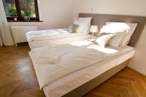 Cracow bb 2
