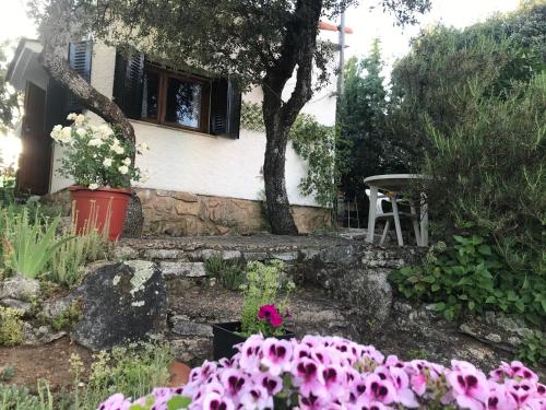 Cabaña en la naturaleza - Collado-Villalba