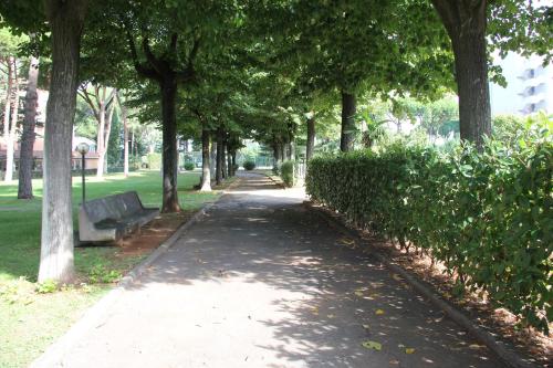 Serafico Guesthouse - image 10