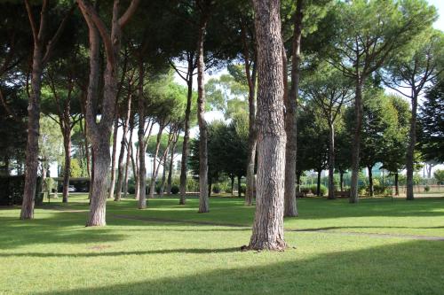 Serafico Guesthouse - image 7
