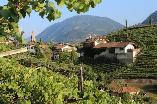 Weingut Eberlehof - Apartment - Bolzano