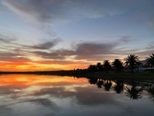 The Blue Dragonfly The Blue Dragonfly