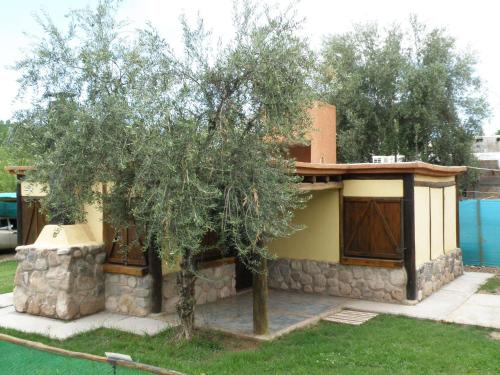 Cabanas Terra Olivo in Coquimbito
