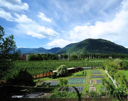 Villa Sasso 5