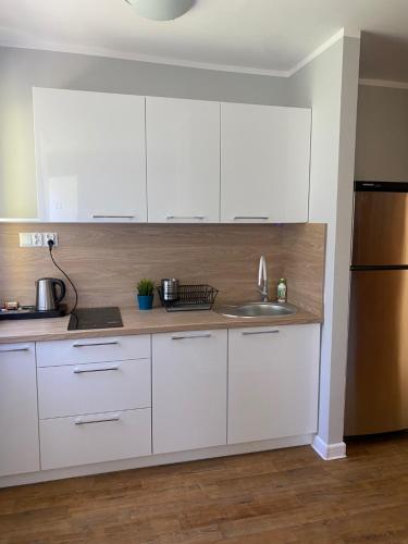 Superior Apartment room in Apartamenty pod Modrzewiem