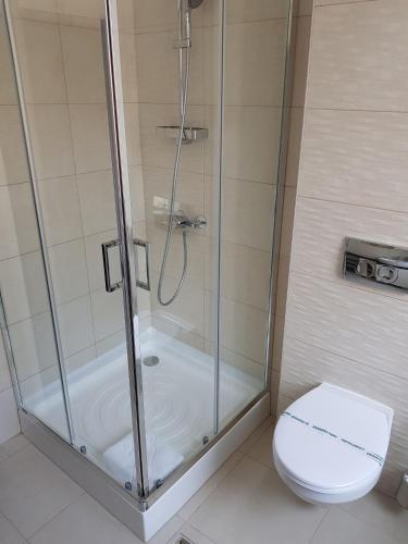 Resita Residence Sauna Apartment - image 6