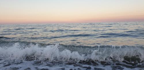 Arancetodamare_ZEUS gîte à louer San Vito