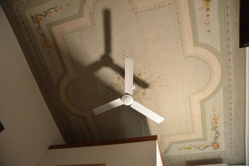 Roma sogno infinito, Roma (foto 8)