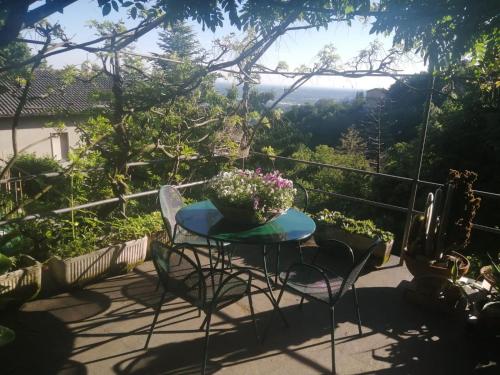 Casa Vacanze Le Violette