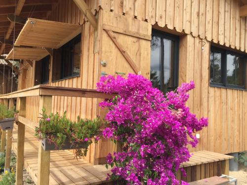 Gîte de l'océan, 3 étoiles - Les cabanes océanes, Montalivet