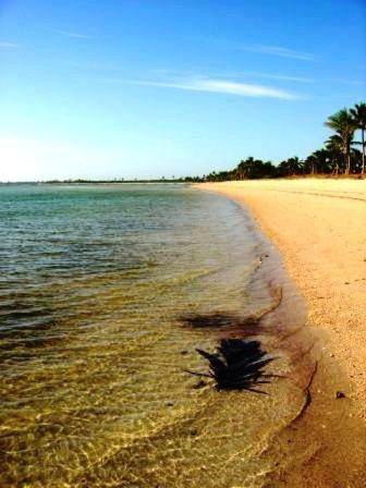 Kilwa Beach Lodge