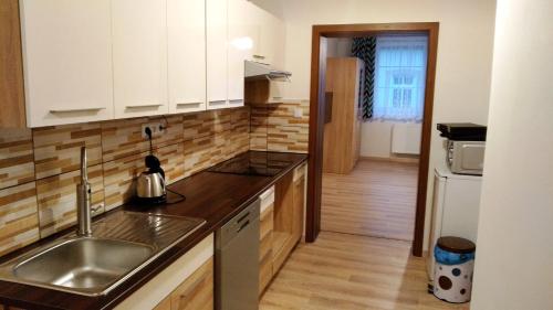 廚房, Apartmány Kukaččí hnízdo (Apartmany Kukacci hnizdo) in 霍洛莫利斯