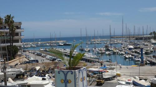 Regina Margherita - bed and breakfast & solarium - image 3